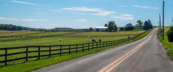 Road Show 2025 (600 x 250 px) 5